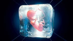 Embryo Freezing