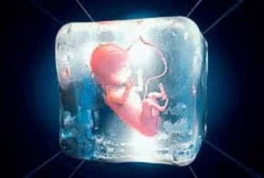 EMBRYO FREEZING