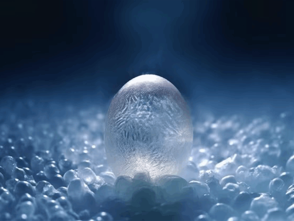 oocyte_img