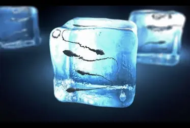 SPERM FREEZING