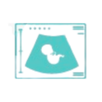 Pregnancy Care-Scans